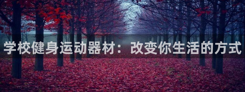 xk星空体育官网下载平台是正规平台吗知乎：学校健身运