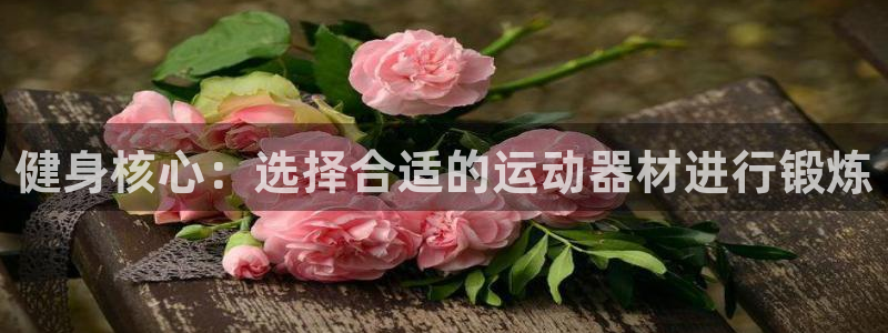 xk星空体育官网下载平台：健身核心：选择合适的运动器