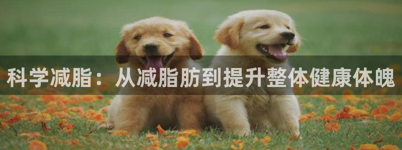 xk星空体育官方正版app娱乐平台：科学减脂：从减脂肪到提升
