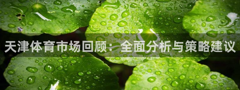 xk星空体育官网下载招商电话号码查询是多少：天津体育