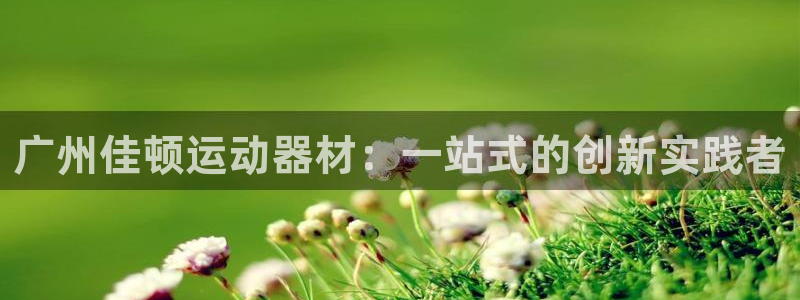 德国xk星空体育官方正版app集团：广州佳顿运动器材