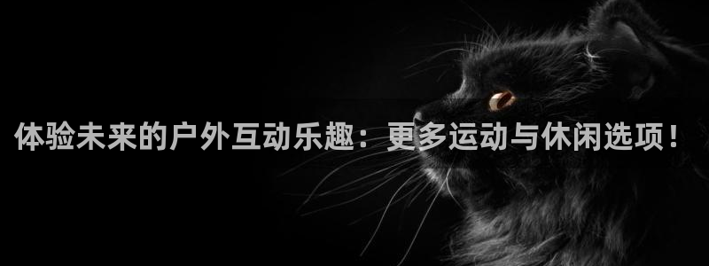 xk星空体育官方正版app娱乐首页网站大全：体验未来