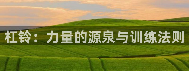 xk星空体育官网下载平台注册流程视频：杠铃：力量的源泉与训练