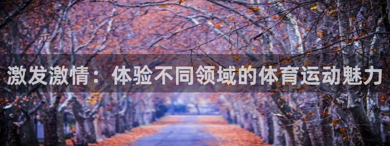 betway西汉姆：激发激情：体验不同领域的体育运动魅力