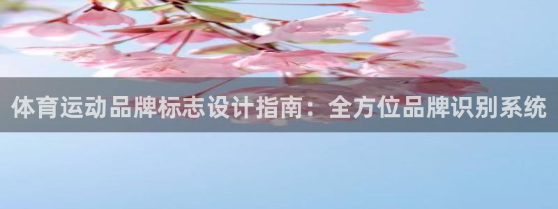 betway西汉姆联官网：体育运动品牌标志设计指南：全方位品牌识别系统